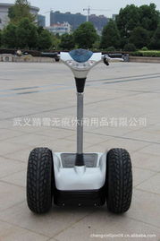永康市踏雪無痕休閑用品有限公司——電動觀光車產(chǎn)品列表與休閑觀光活動